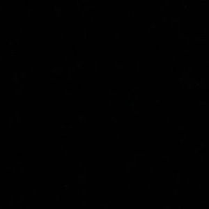 Meet your Posher, Peyton